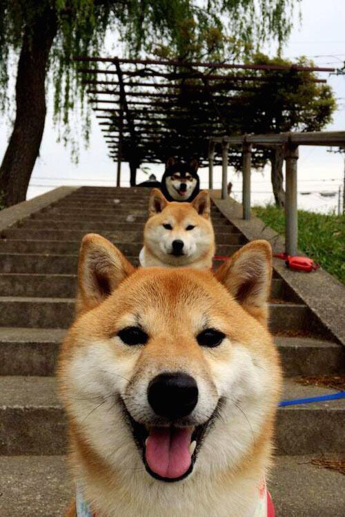 从布鲁塞尔到雷恩，救赎与奇迹的双重奏