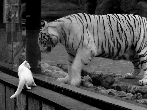 马克西封神！奇才加时逆袭马刺，年度焦点战成个人表演秀