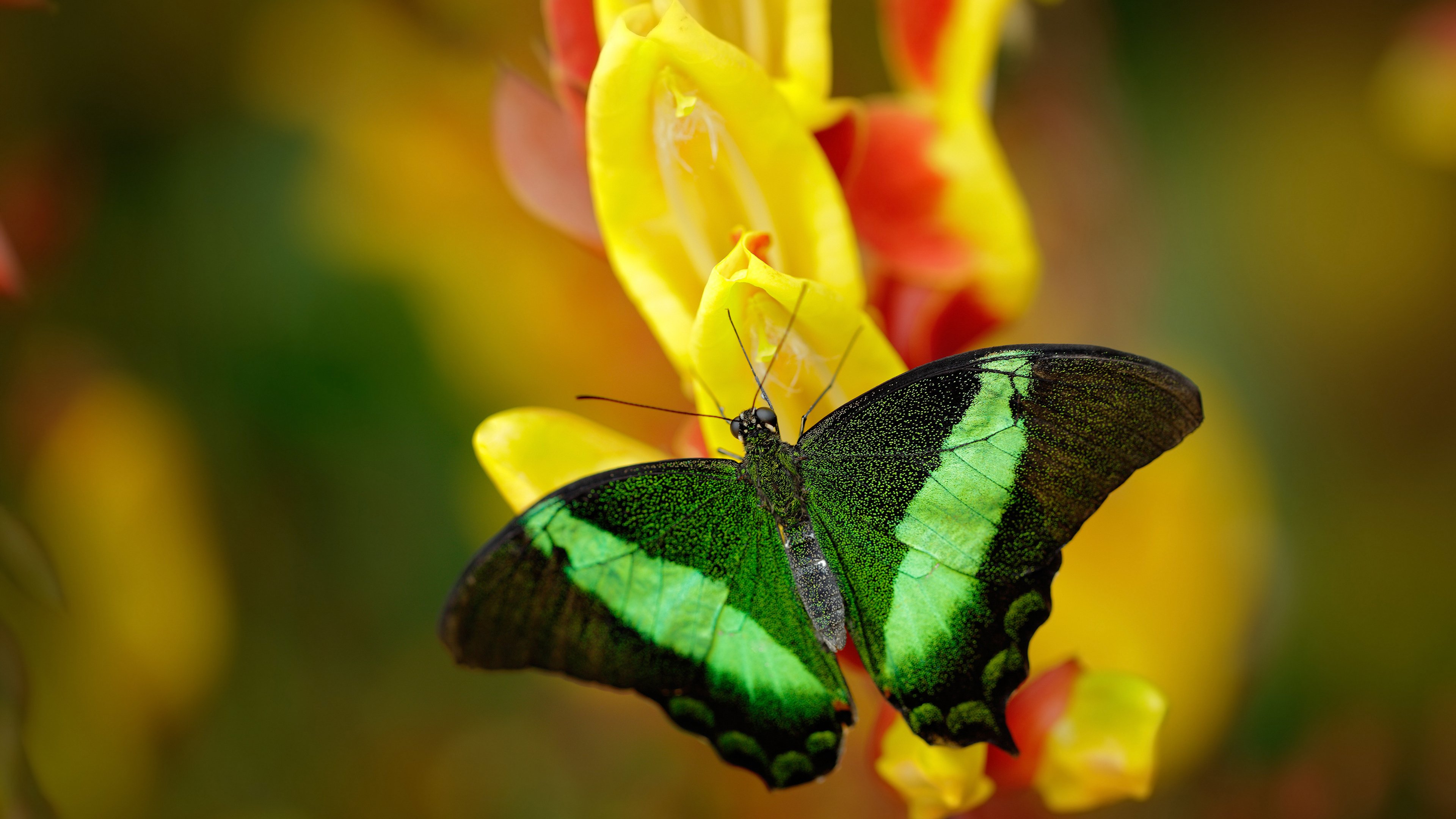 单节定乾坤，当东决终极舞台降临绿茵场