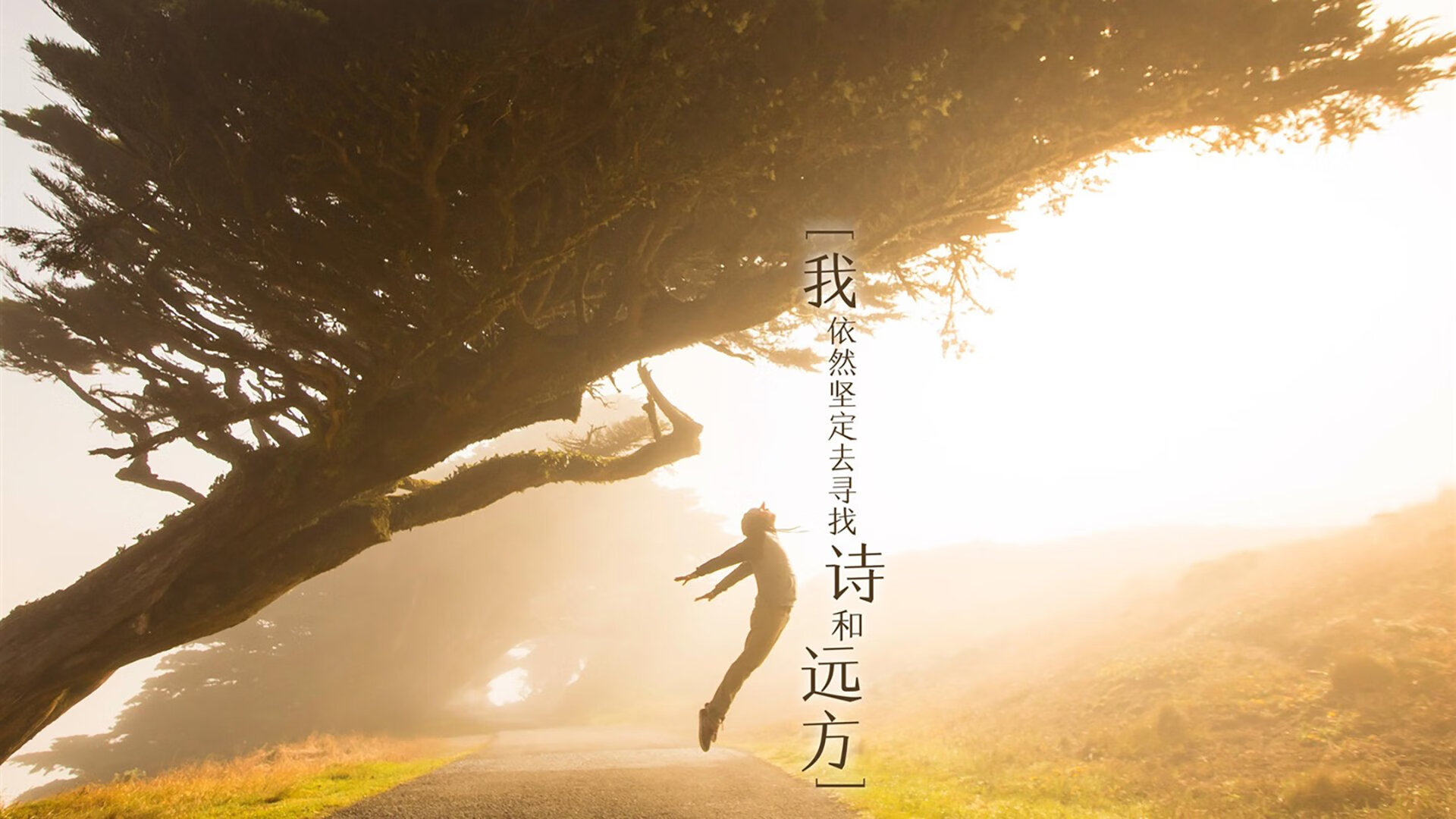 跨界友谊赛星光璀璨,威尔士对阵皇家社会,C罗无争议当选全场最佳