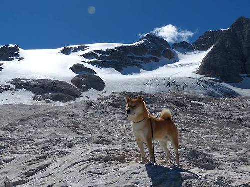 皮克爆发,最熟悉的陌生人,为何成为葡萄牙压制马竞的完美象征?