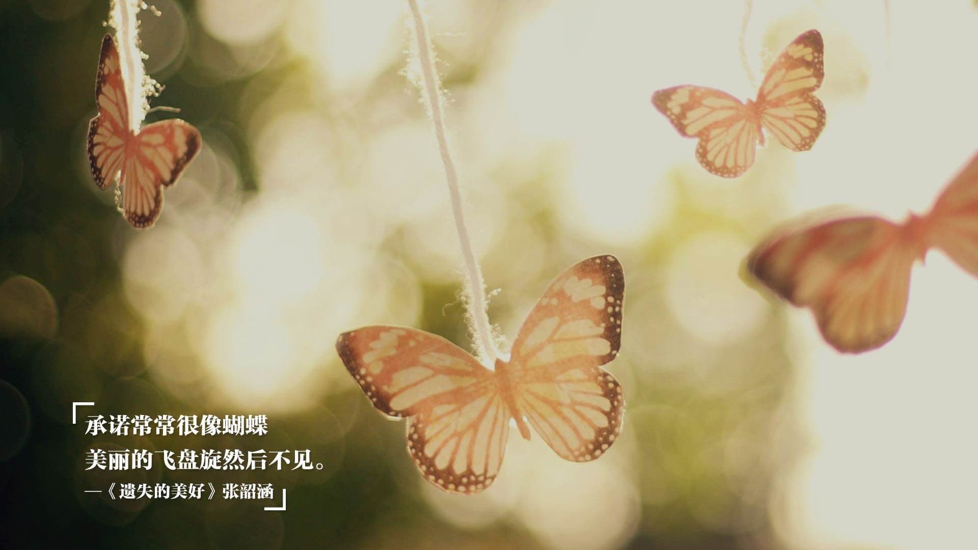 意甲焦点战外的暗流，贝蒂斯如何带走韩国足球明珠