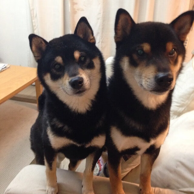 欧陆烽火，从意甲战术博弈到巴斯克铁血—焦点战的多维镜像