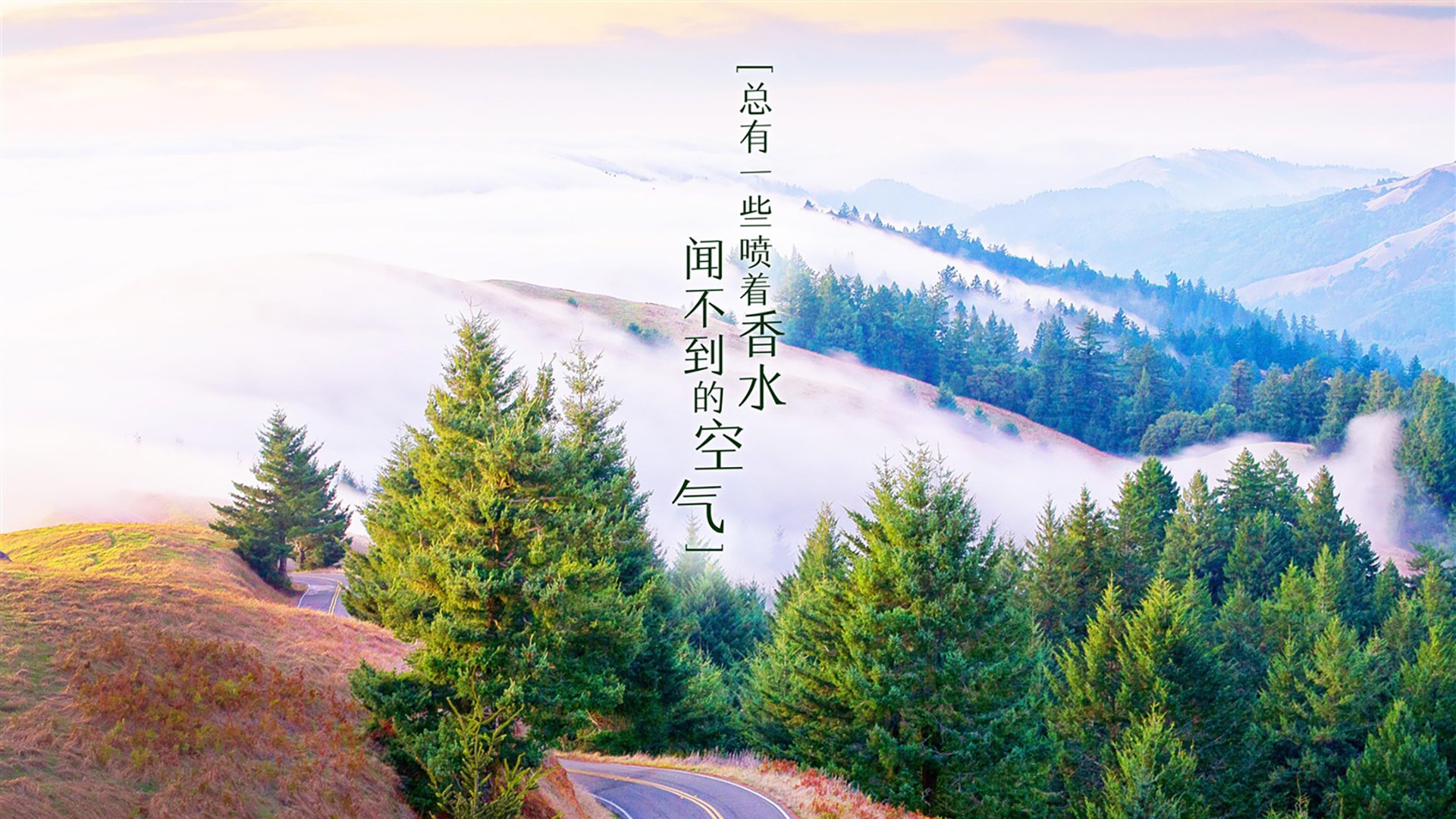 以下是根据这个思路展开的文章